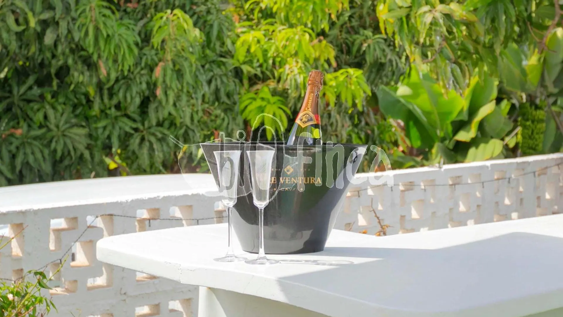 Villa Bio Finca With Pool Playa Paraiso  Spain