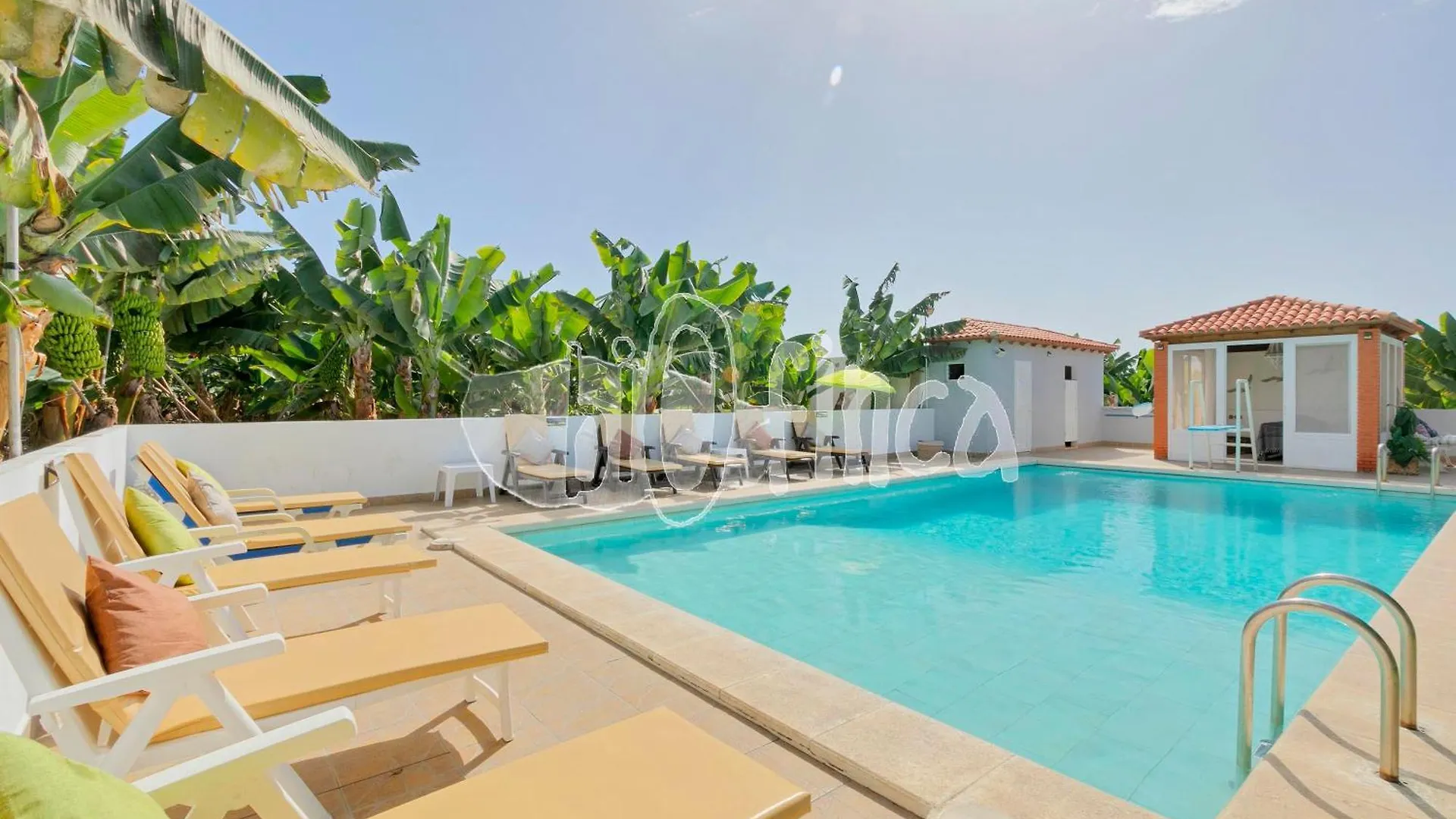 Villa Bio Finca With Pool Playa Paraíso