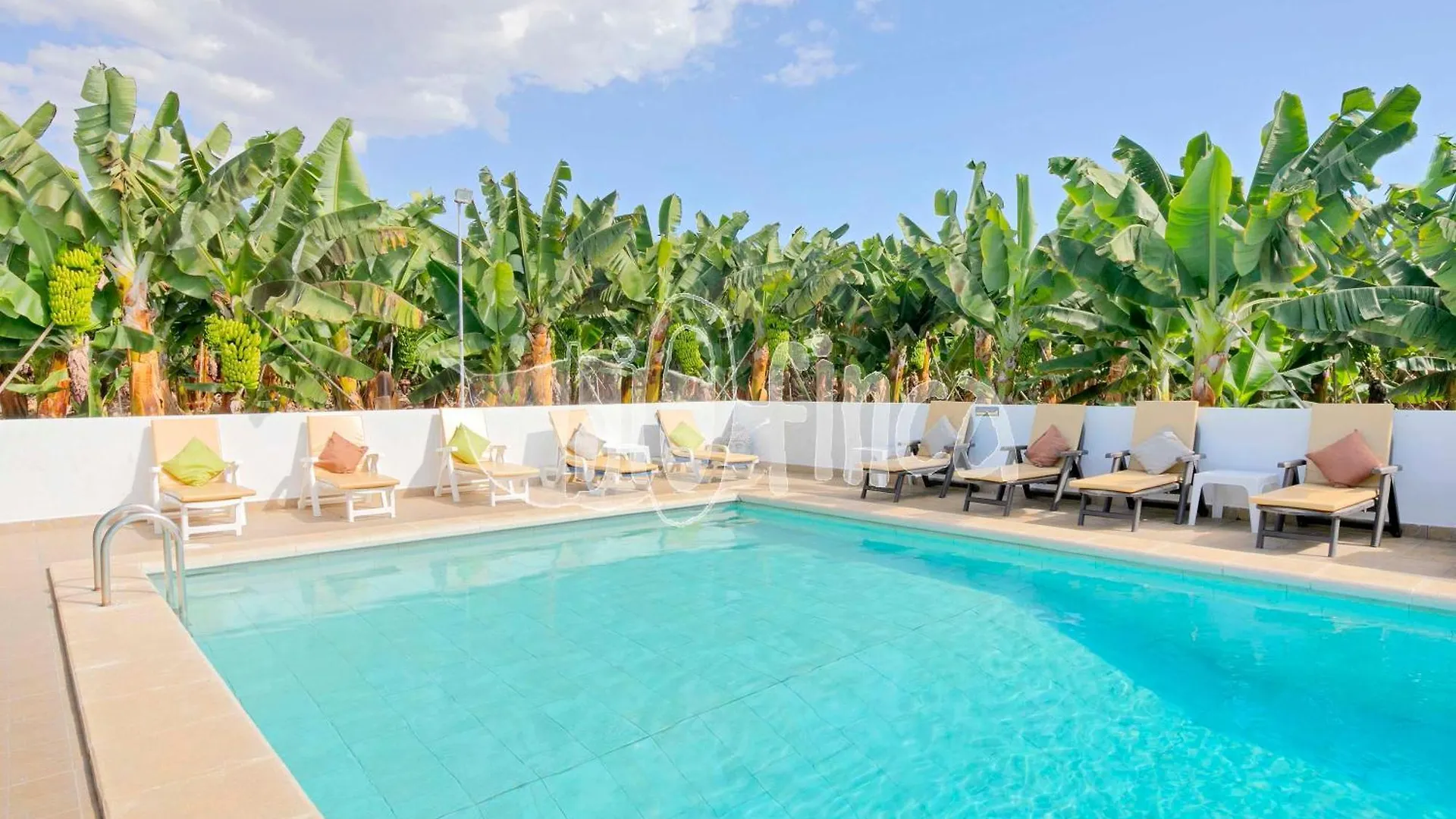 Villa Bio Finca With Pool Playa Paraiso
